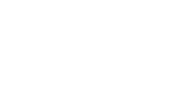 Escape 211